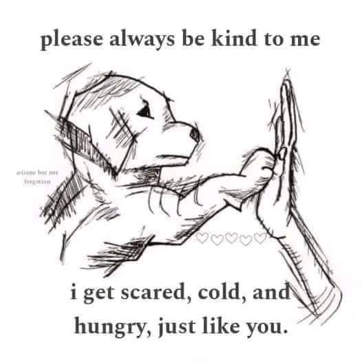 'JUST FOR ME & MY DOG'