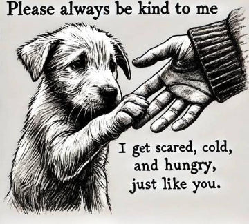 'JUST FOR ME & MY DOG' - Seeking Partners